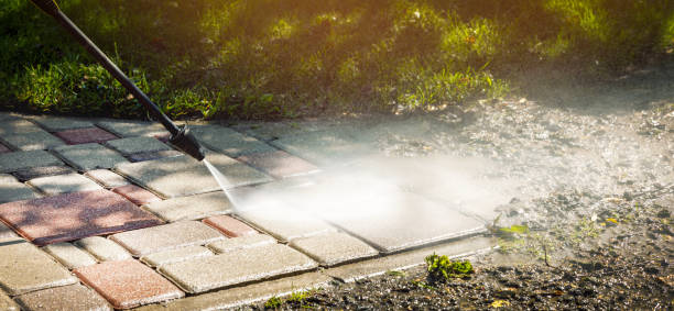 Best Roof Cleaning and Mildew Removal in Clton, IN